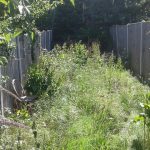garden clearance Ty'n-y-groes