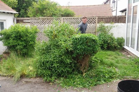 Site Clearance