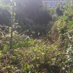 site clearance near me Saughall
