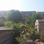 garden clearance in Mollington