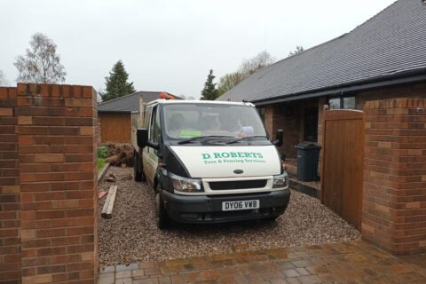 Tree Surgeon near me Christleton